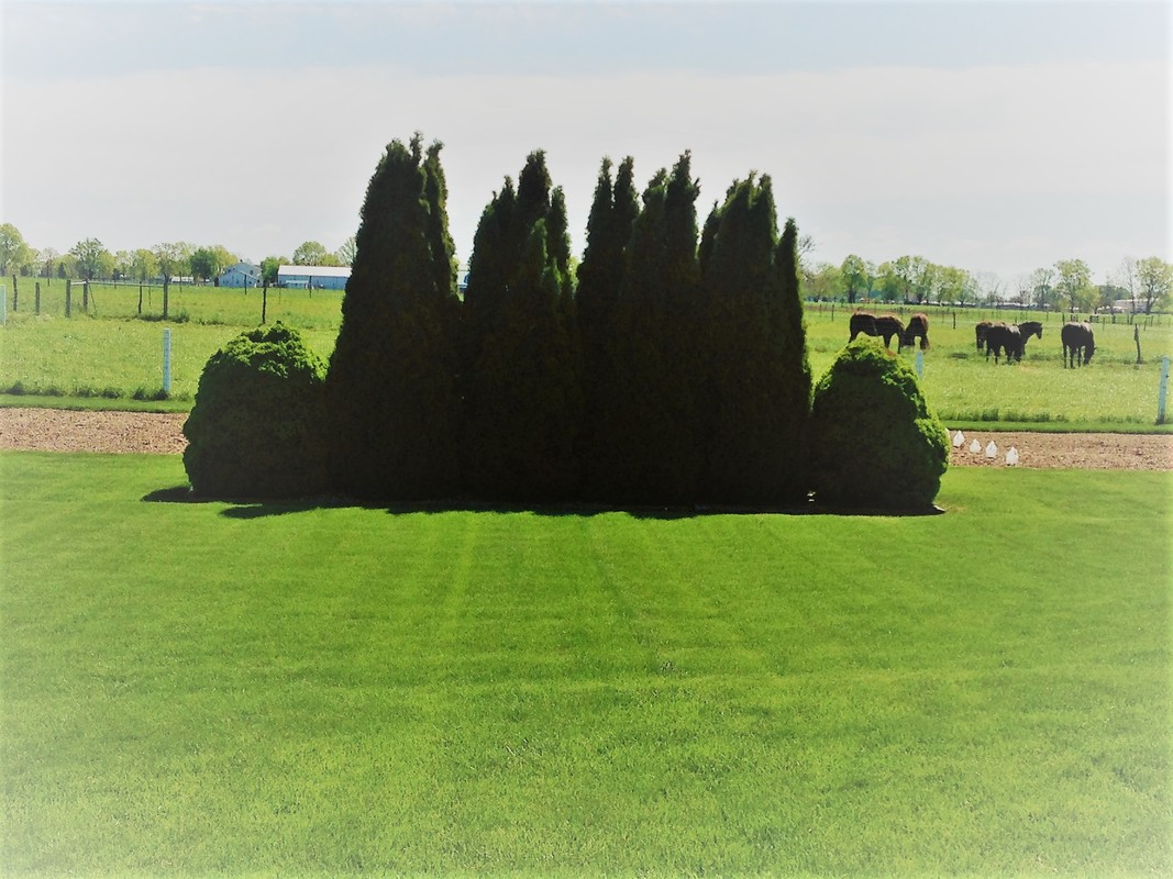 Open green lawn in northeastern Indiana