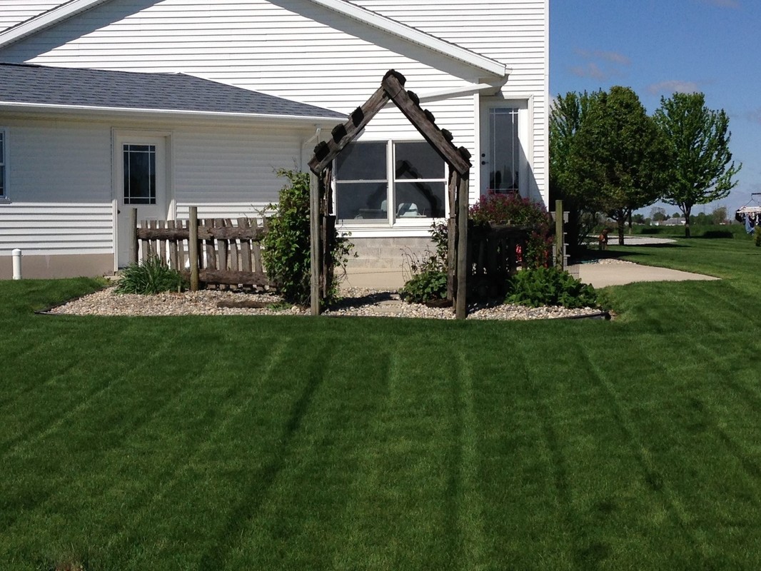 Healthy rooted turf around a home landscape